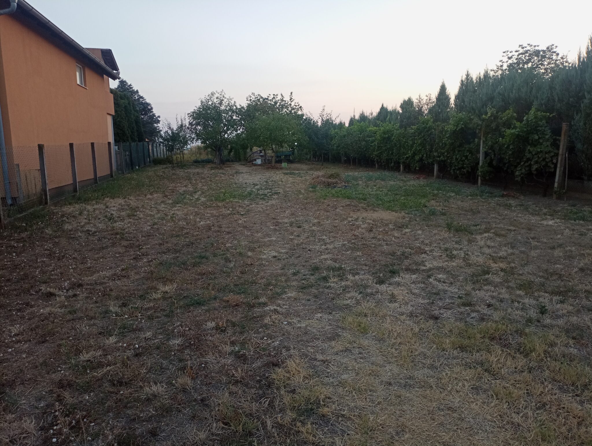 LEP PLAC SA BUNAROM U NOVOM NASELJU - Слика 3